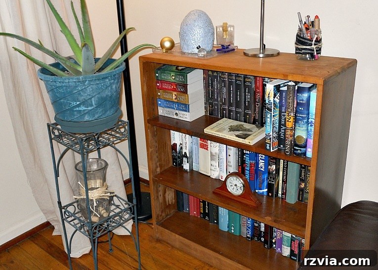 Another wooden bookcase in the living room, completely filled with more of my son's books. theboondocksblog.com