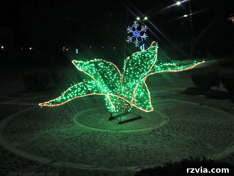My Town's Best Kept Secrets 14 Vibrant green Christmas lights illuminating a tree or structure