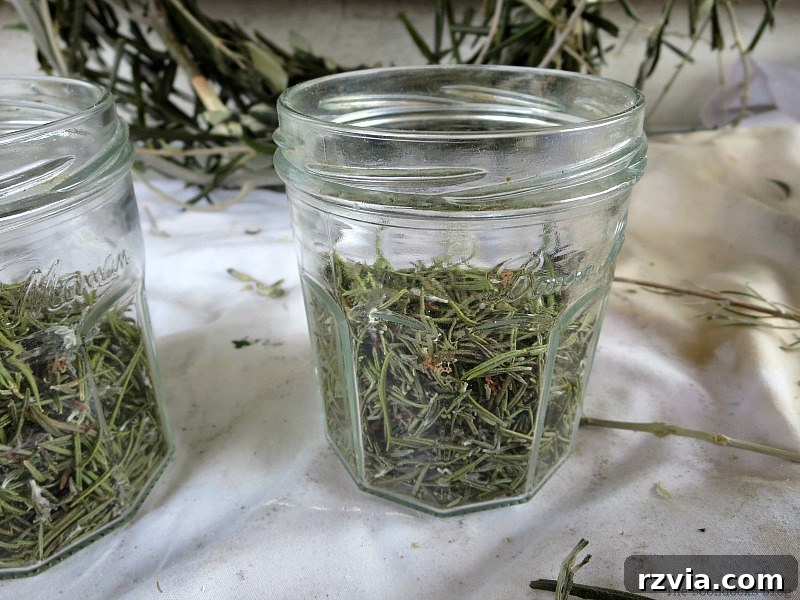 Rosemary leaves collected and placed into two small glass marmalade jars, prepared for a DIY Christmas centerpiece. Shows the detailed preparation. Photo by www.theboondocksblog.com