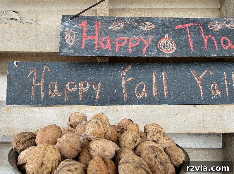 A festive Thanksgiving and Fall themed chalkboard sign, demonstrating the versatility of these DIY creations.