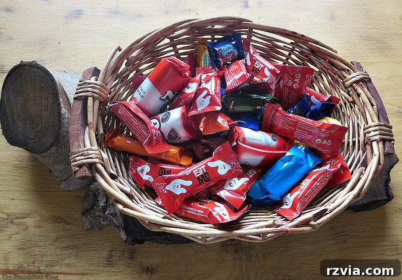 A generously filled basket of Halloween candy, tempting guests at Paranoid Man's Halloween Party, www.theboondocksblog.com