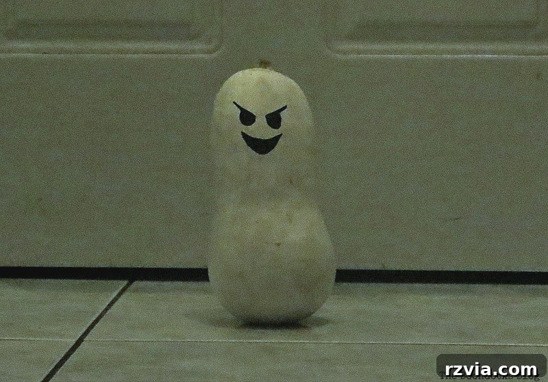 The imposing and creepy figure of Mr. Gourd, a prominent feature at Paranoid Man's Halloween Party, www.theboondocksblog.com