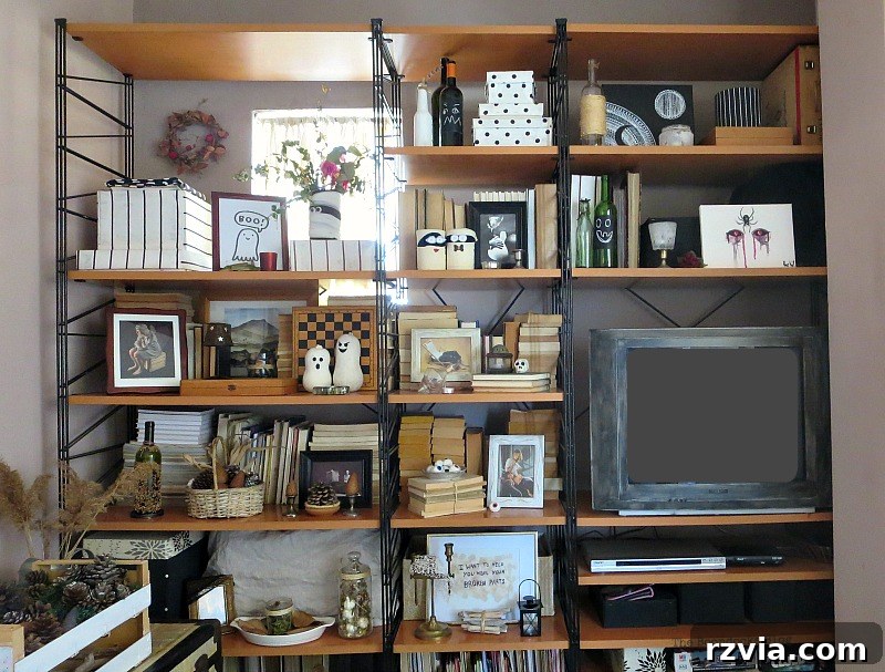 The Wall Unit against the wall, securely placed and ready for Halloween decorations.