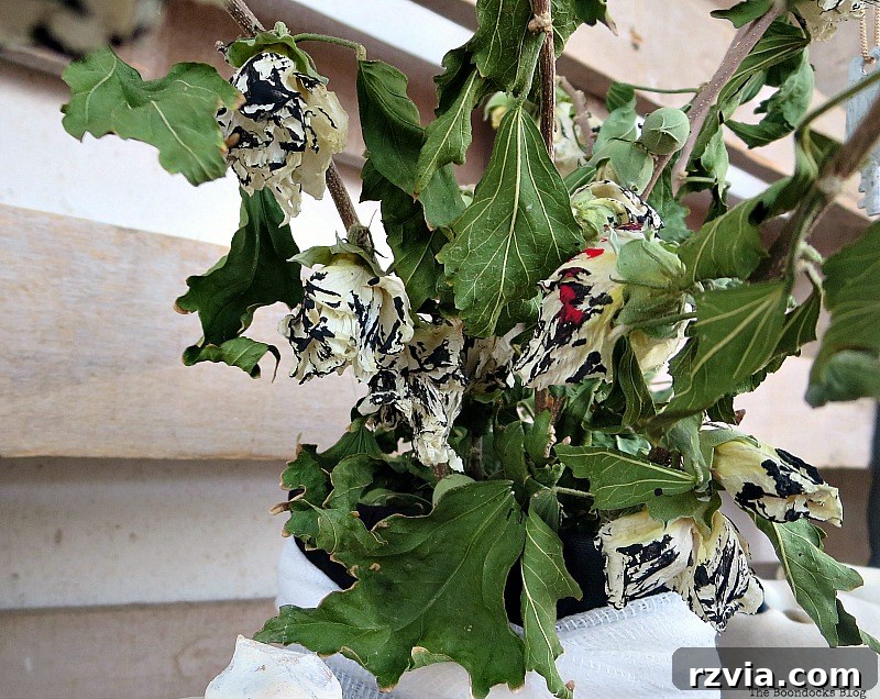 Dried flowers and leaves painted black and red for spooky Halloween arrangement
