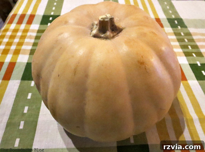 Crafting the Paranoid Pumpkin Man 2 Pumpkin with a bow and hat, central to 'The Paranoid Man Pumpkin Craft' blog post, from www.theboondocksblog.com