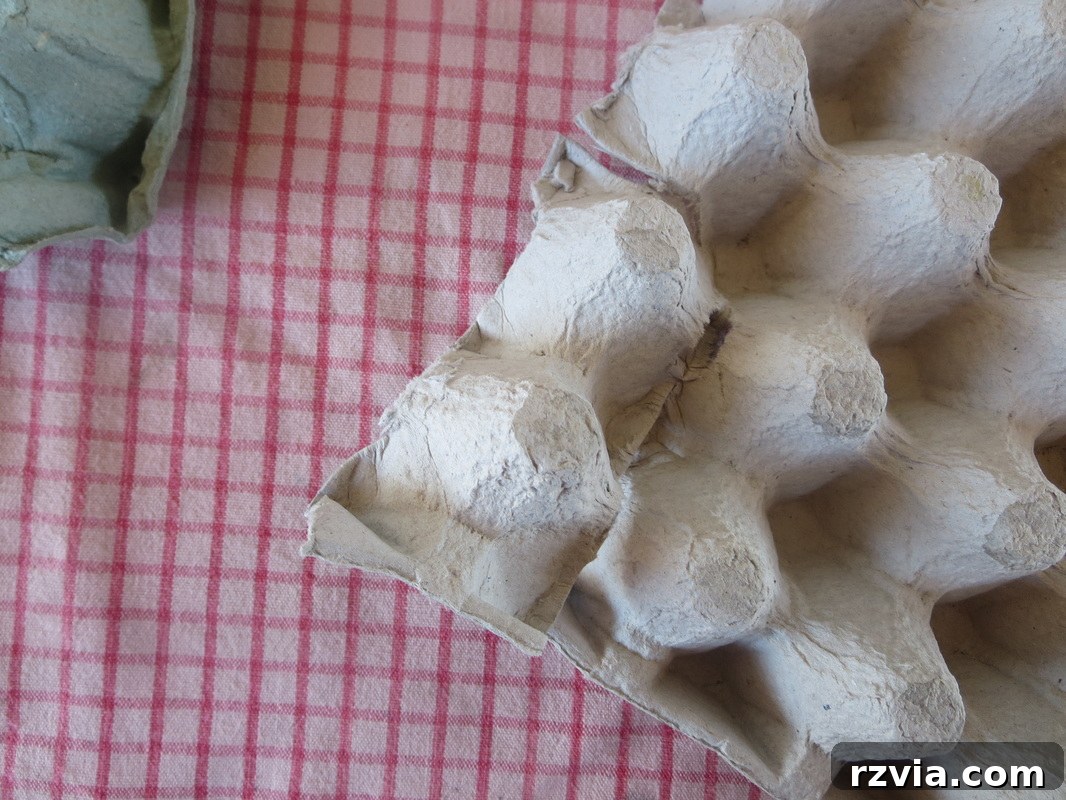 Hands cutting individual egg carton cups, showing the initial step of separating them to create DIY fall flowers from recycled materials.
