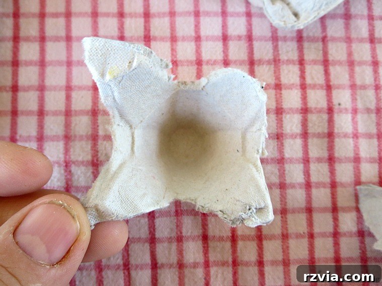 Close-up of a separated egg carton cup, highlighting its natural, imperfect shape perfect for crafting unique fall flowers.