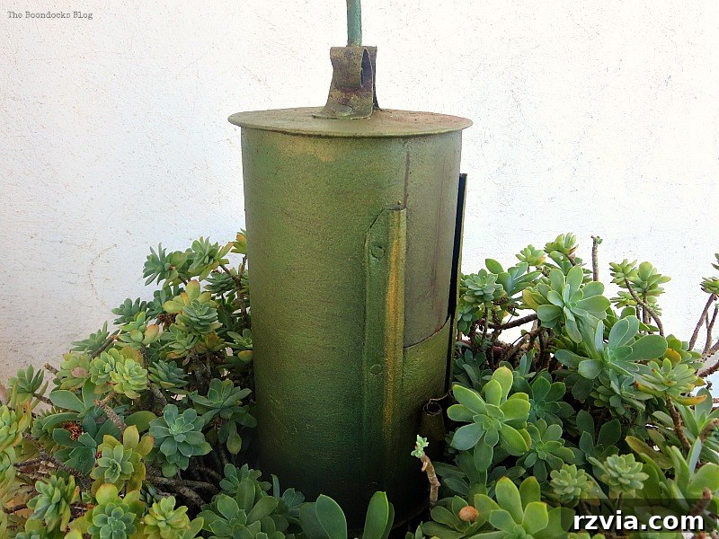 The 'Breen' coffee roaster looking good amongst succulents