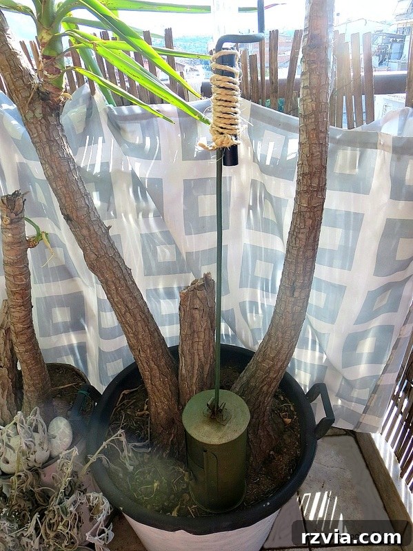 Vintage coffee roaster placed between plant trunks for balance
