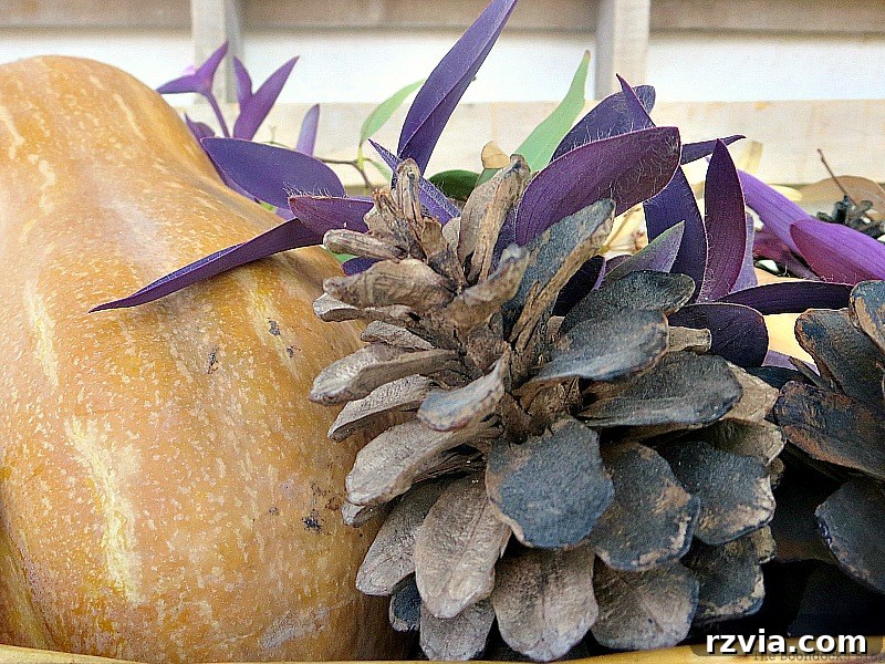 Close up of pinecone, Easy DIY Fall Eucalyptus Vignette www.theboondocksblog.com