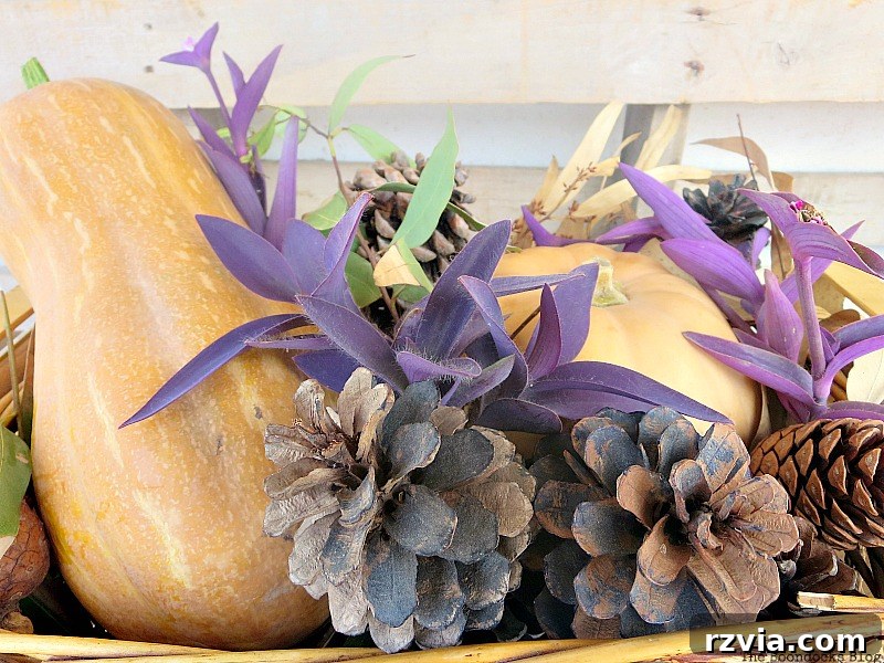 pumpkins, Easy DIY Fall Eucalyptus Vignette www.theboondocksblog.com