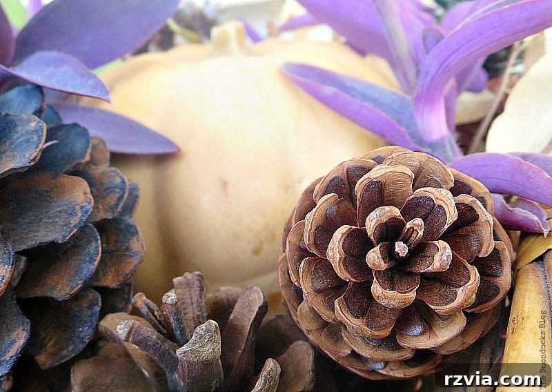 Beautiful pinecones, Easy DIY Fall Eucalyptus Vignette www.theboondocksblog.com