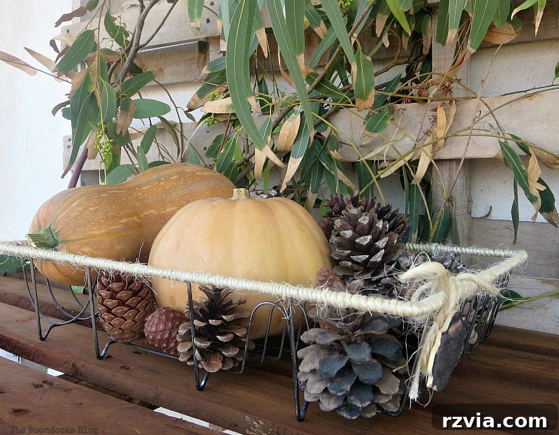 Vignette in wire dish rack, Easy DIY Fall Eucalyptus Vignette www.theboondocksblog.com