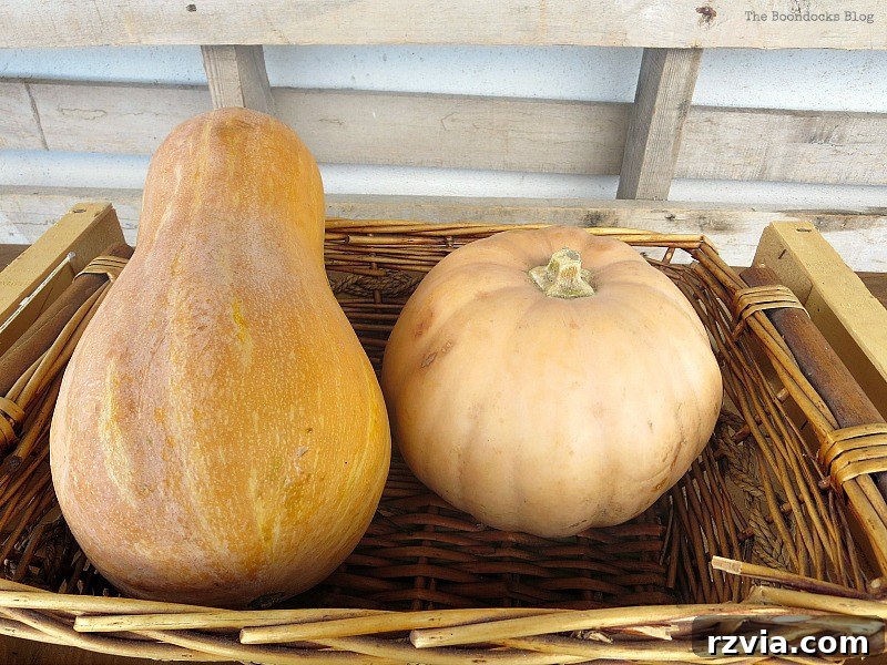 Adding the pumpkins, Easy DIY Fall Eucalyptus Vignette www.theboondocksblog.com