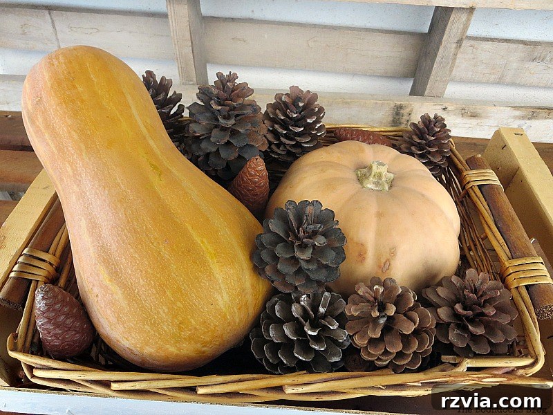 Adding the pinecones, Easy DIY Fall Eucalyptus Vignette www.theboondocksblog.com