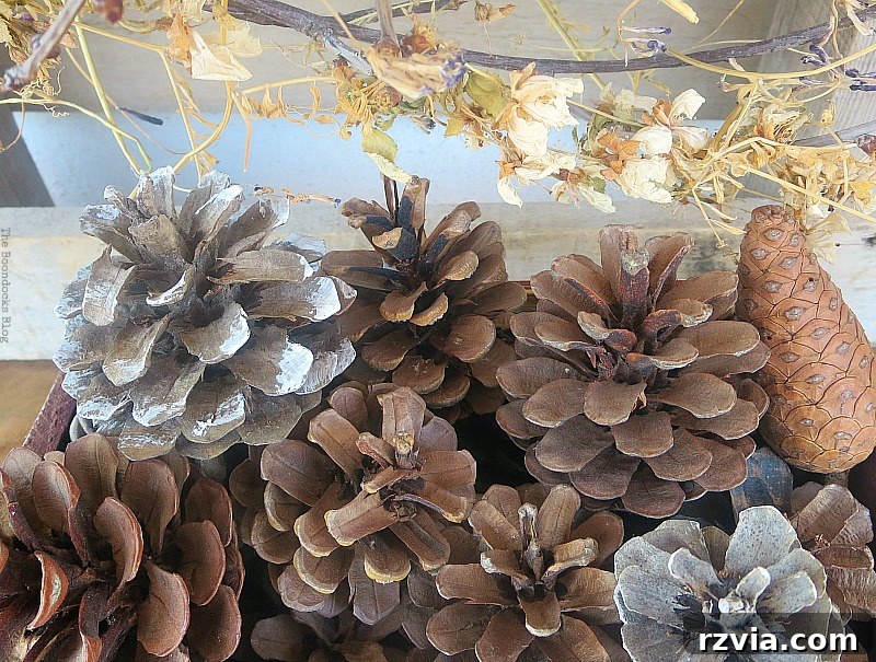 Upcycled Elegance: Crafting a Pallet and Salvaged Wood Table 16 Close-up of pinecones and other natural elements within the fall vignette, highlighting the texture and detail captured on the DIY pallet table. www.theboondocksblog.com
