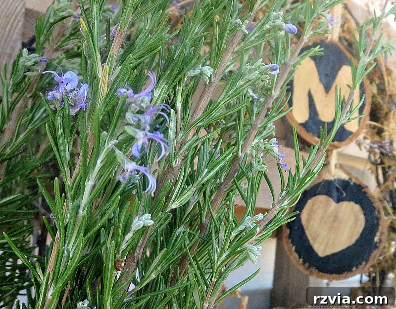 Upcycled Elegance: Crafting a Pallet and Salvaged Wood Table 18 Repurposed rustic wood slices artfully arranged as part of the fall vignette, demonstrating their versatility as decor and photography props on the pallet table. www.theboondocksblog.com