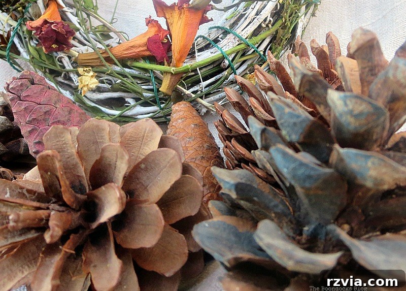 Arrangement of flowers and pinecones, evoking reflection and resilience