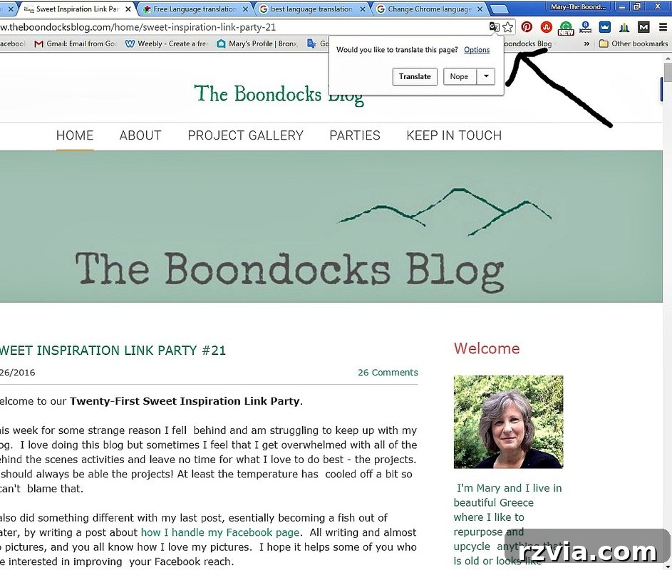 Chrome Browser 1, How to translate text into greek www.theboondocksblog.com