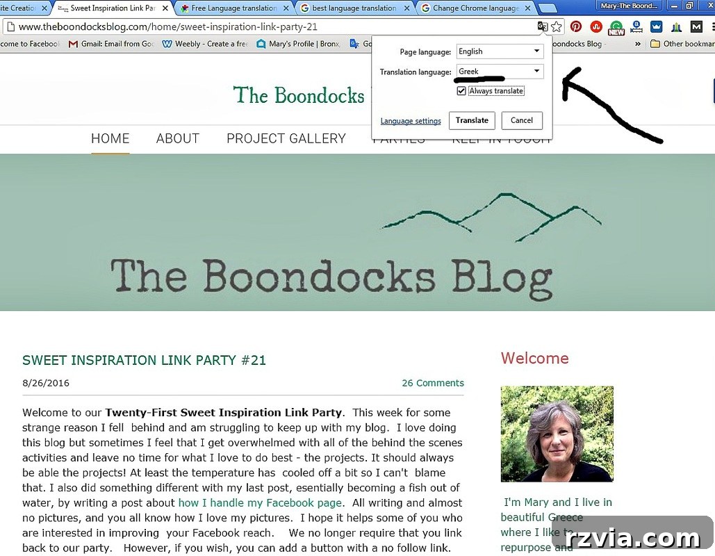 Chrome Browser 2, PictureHow to translate text into greek www.theboondocksblog.com