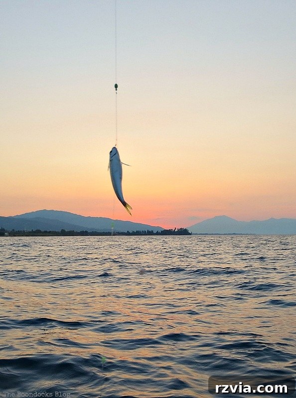 A fish caught right in front of the gorgeous sunset, a perfect memory