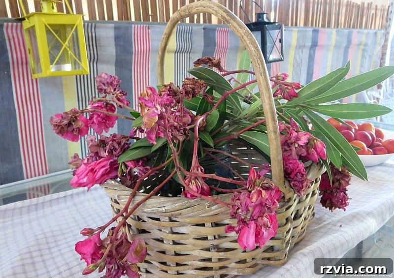A charming basket filled with dried flowers, adding a rustic and natural decorative touch to the balcony setting. Dried Flowers in a Basket, Part 1 www.theboondocksblog.com