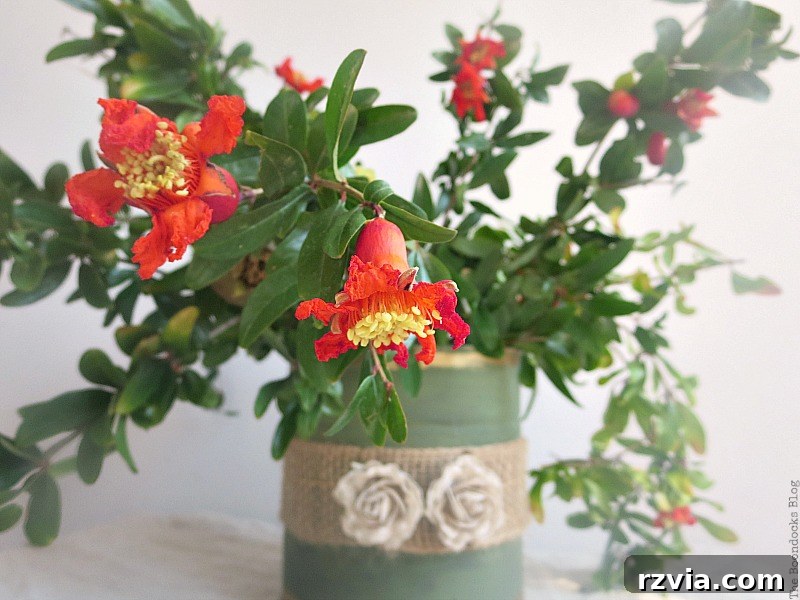 Close-up of a vibrant pomegranate flower on a branch, showcasing the natural beauty used in the DIY vase.