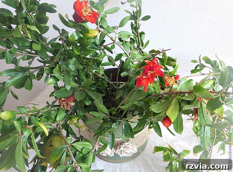 Overhead view of the repurposed tin can vase, showing the internal smaller cans stabilizing the pomegranate branches.