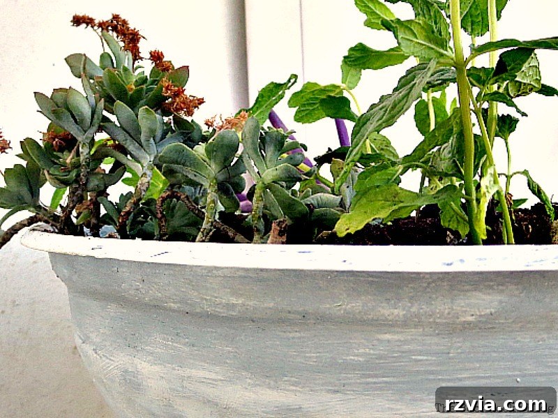 Close-up of the repurposed grill planter, showcasing the texture and details of the painted surface