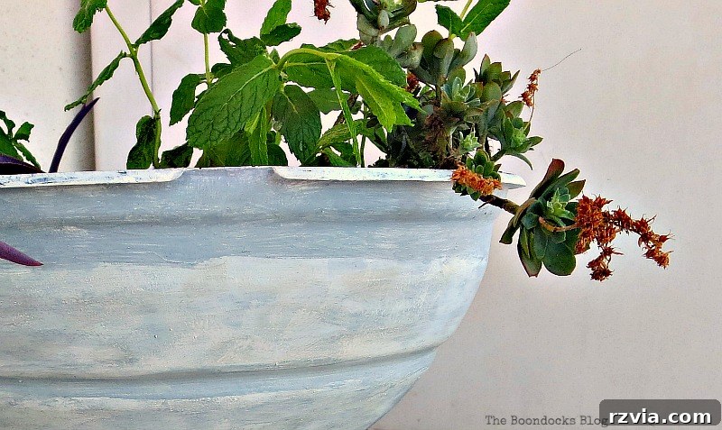 Another perspective of the upcycled grill planter, demonstrating its stability and decorative appeal