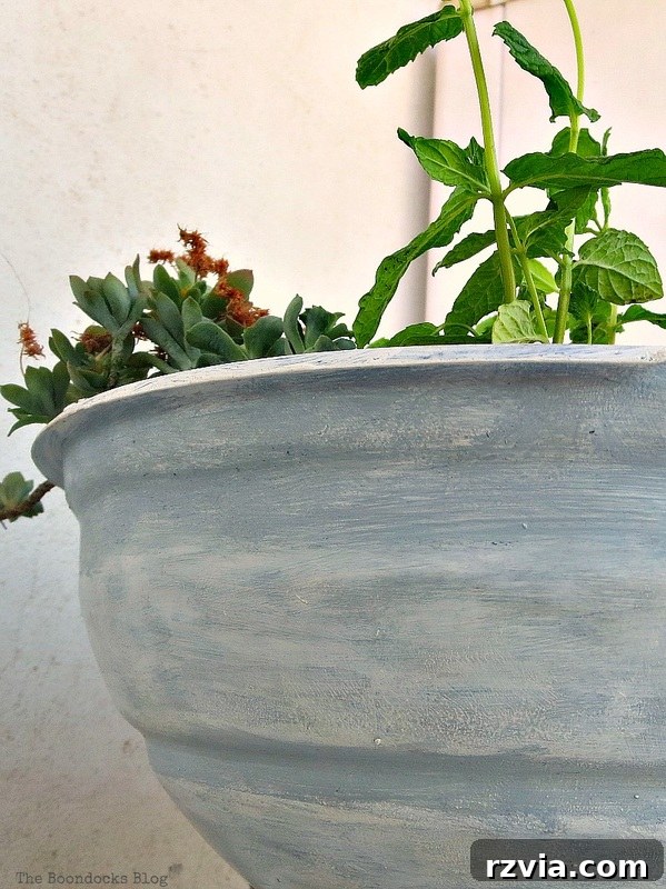 Overall view of the repurposed grill planter in its outdoor setting, ready to beautify any space