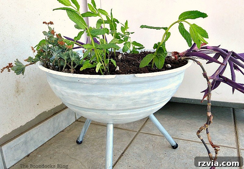 The finished repurposed grill planter with plants, a unique and creative addition to a balcony for Earth Day