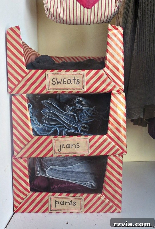 Pretty Boxes for Organizing Clothes in the Closet www.theboondocksblog.com