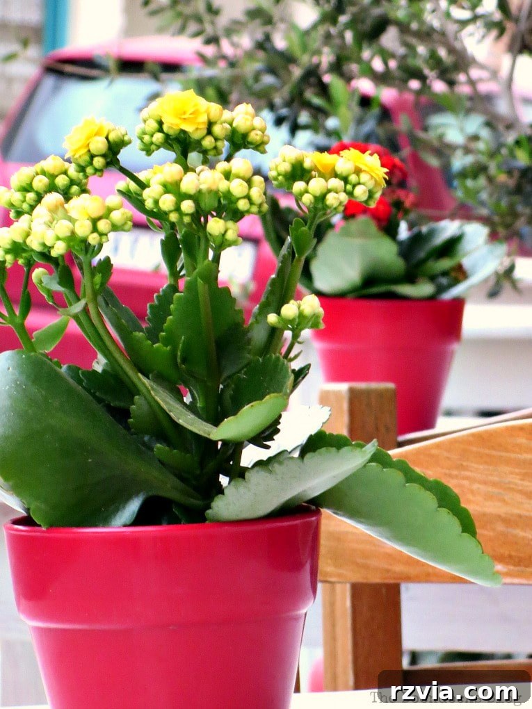 Small bouquets of spring flowers adorning cafe tables in Greece, reflecting the integration of nature into daily life.