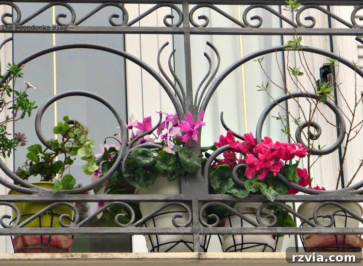 Assorted colorful flowers spilling from a planter on a Greek balcony, showcasing the diverse flora of spring.