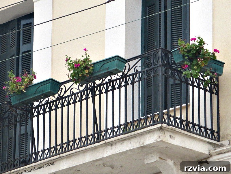 Vibrant red geraniums flourishing on a balcony in Greece, a classic sight for spring flowers.