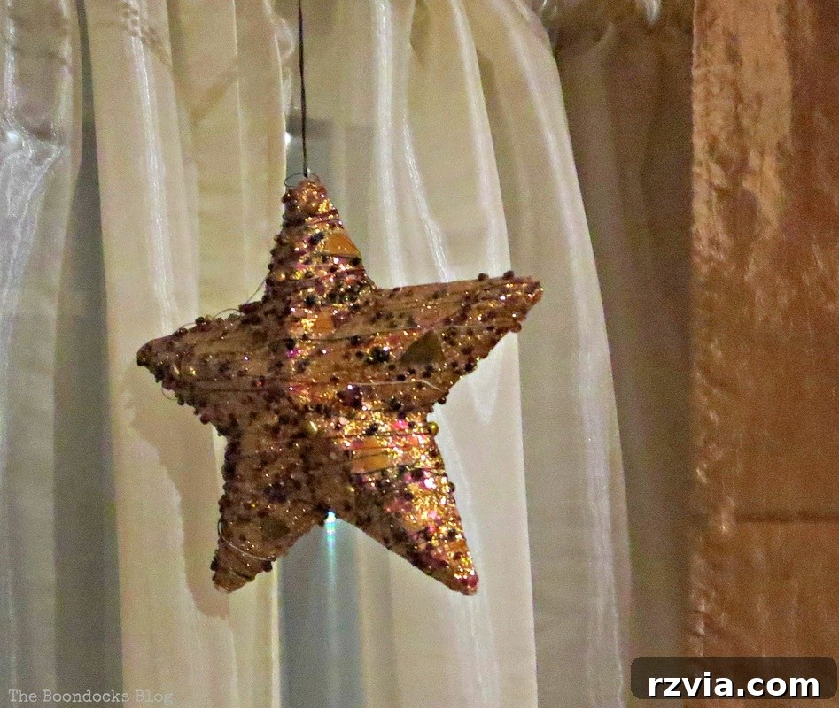 Star, Home for Christmas - the Boondocks Blog