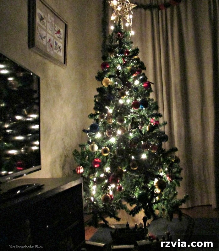 The Birds of Christmas - The Boondocks Blog