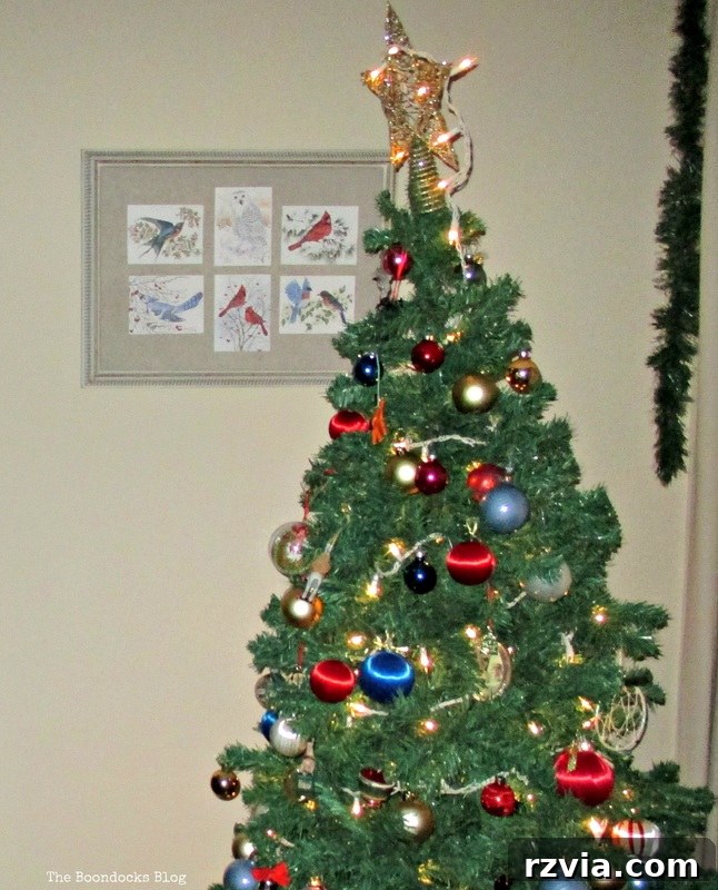 Picture Frame, Birds of Christmas - The Boondocks Blog