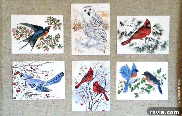 Birds of Christmas - The Boondocks Blog