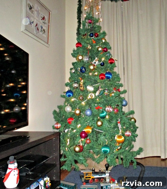 Picture Frame and tree, Birds of Christmas - The Boondocks Blog