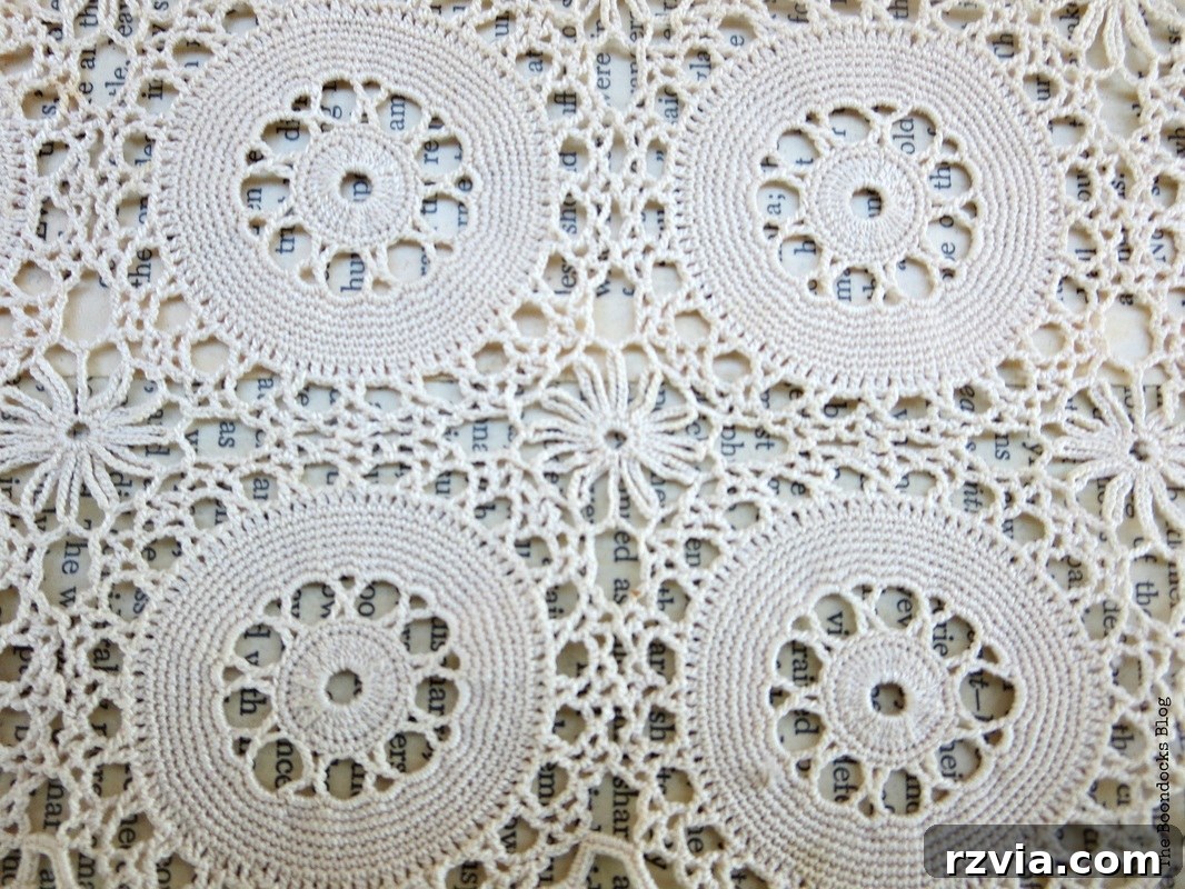A single, beautifully crafted doily, a piece of art from a bygone era, resting in the trunk