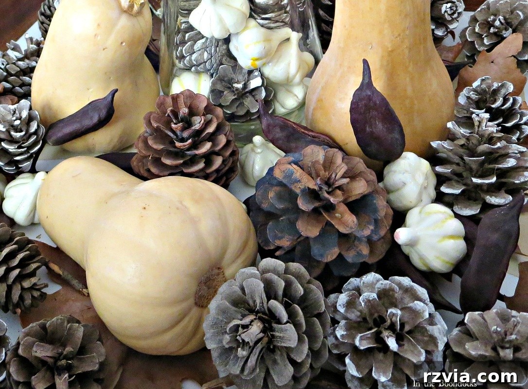 Pumpkins and pinecones artfully arranged in a fall vignette, www.theboondocksblog.com