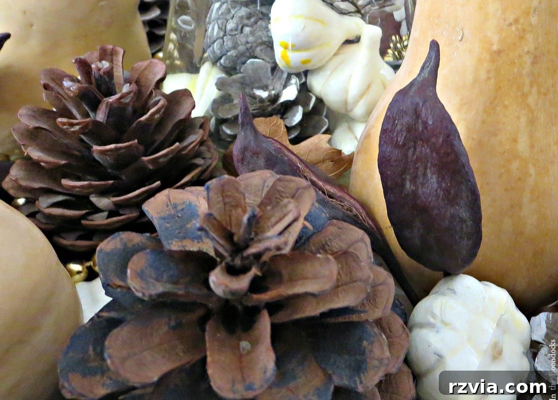 Detailed shot of pine cones and other natural elements in the fall vignette, www.theboondocksblog.com