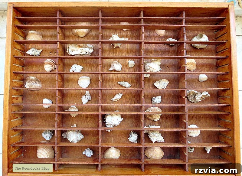 The Feature Table 8 The repurposed cassette holder filled with a beautiful collection of seashells, ready for its glass top.