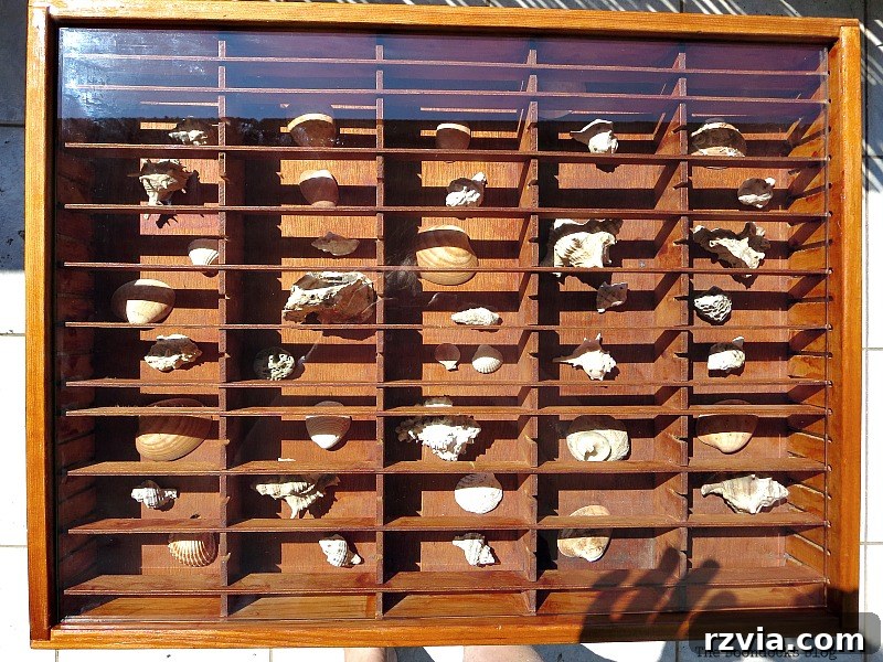 The Feature Table 9 The stunning showcase table with a beveled glass top, displaying seashells within the former cassette holder.